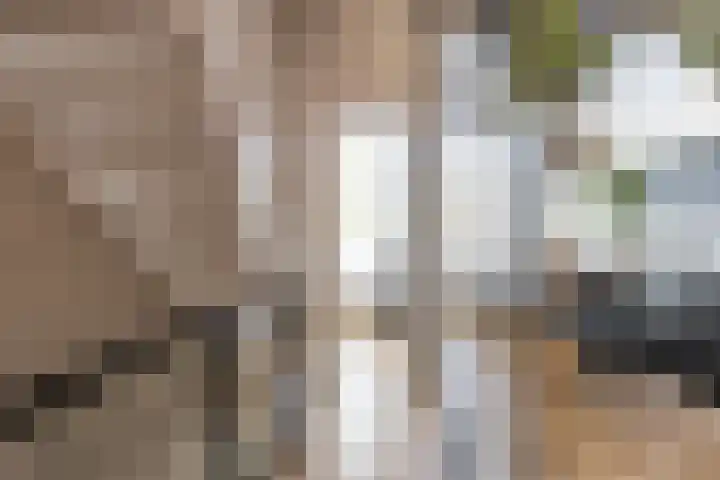 Verlengde Hereweg 7 a Groningen thumbnail 8