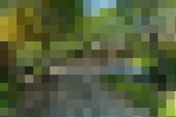 Verlengde Hoflaan 103 Arnhem thumbnail 32
