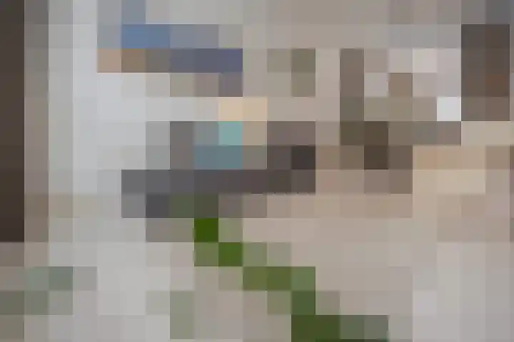 Verlengde Hoflaan 129 Arnhem thumbnail 10
