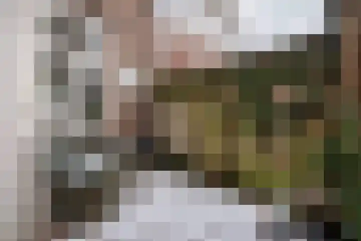 Verlengde Hoflaan 129 Arnhem thumbnail 6