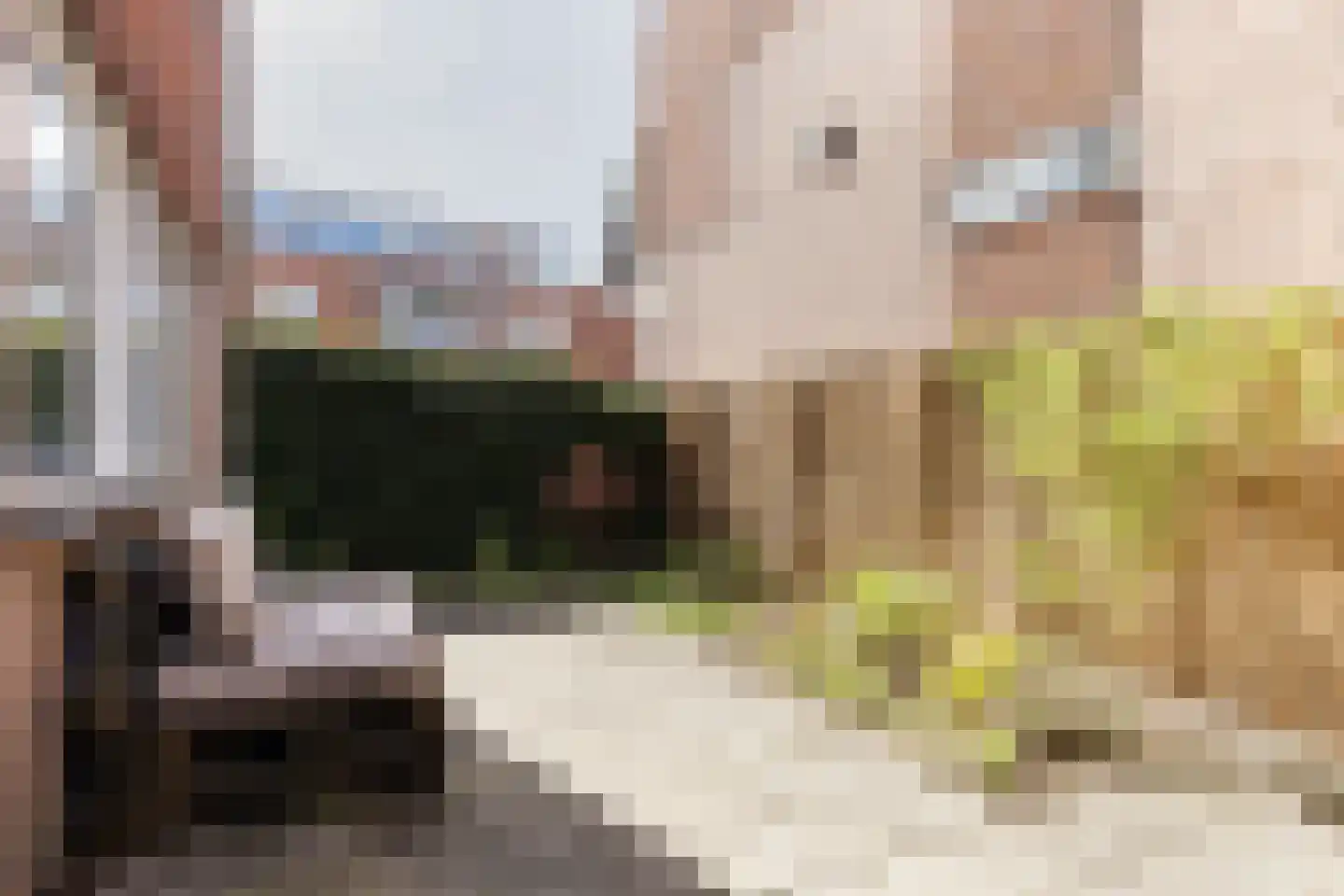 Verlengde Hoflaan 33 Arnhem thumbnail 34