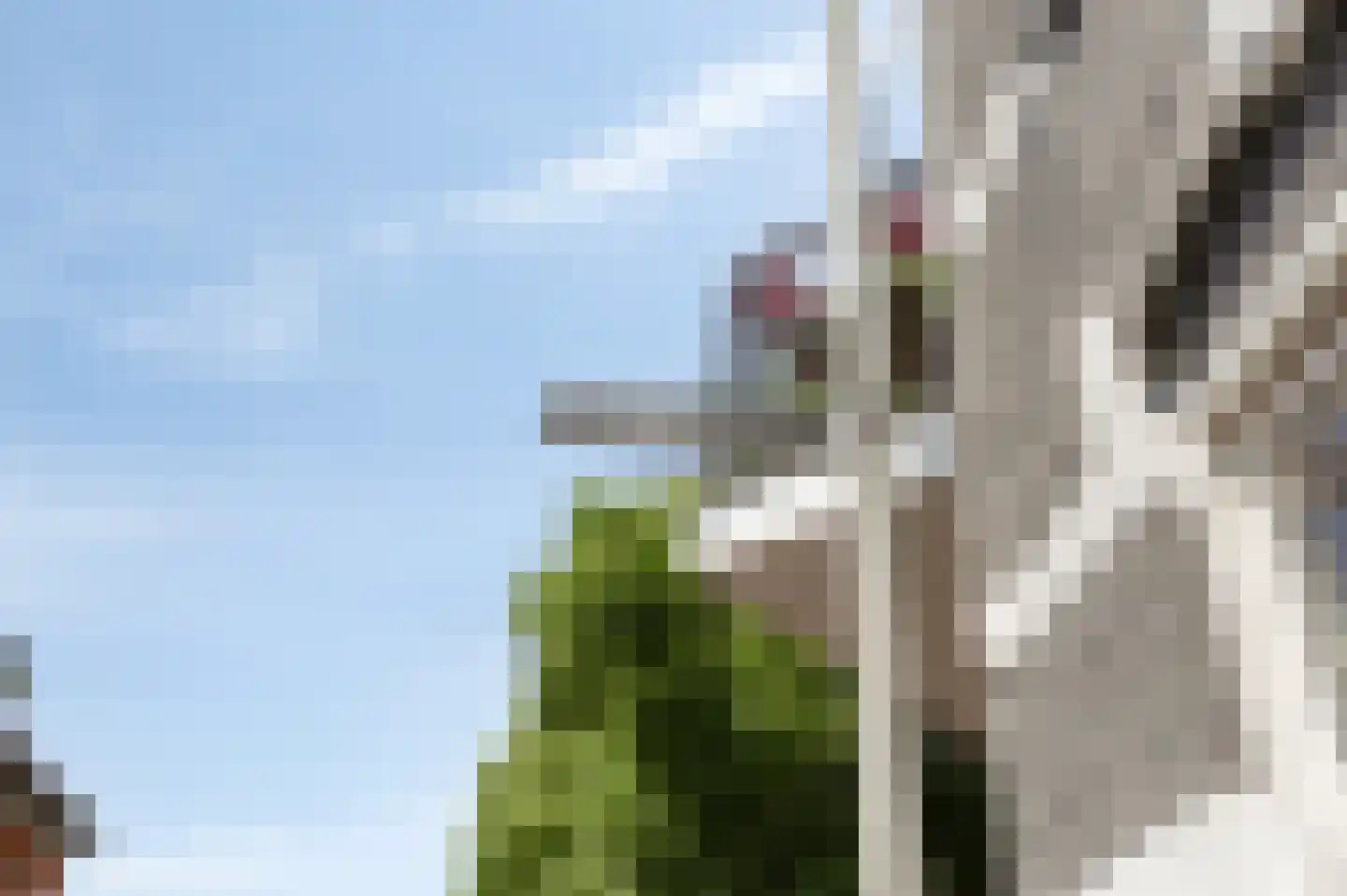 Verlengde Hoflaan 73 Arnhem thumbnail 25