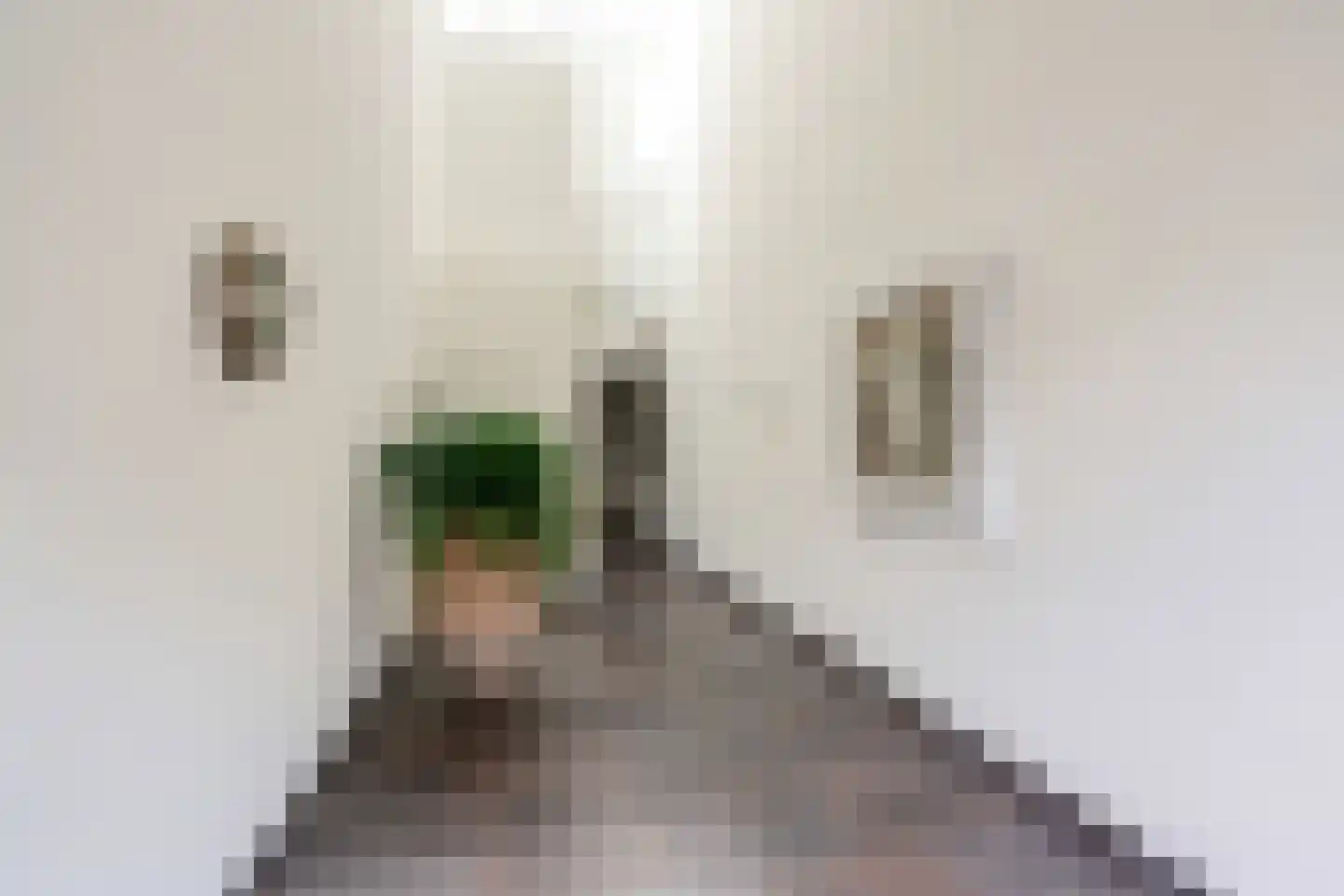 Verlengde Hondsrugstraat 1 E Zuidlaren thumbnail 13