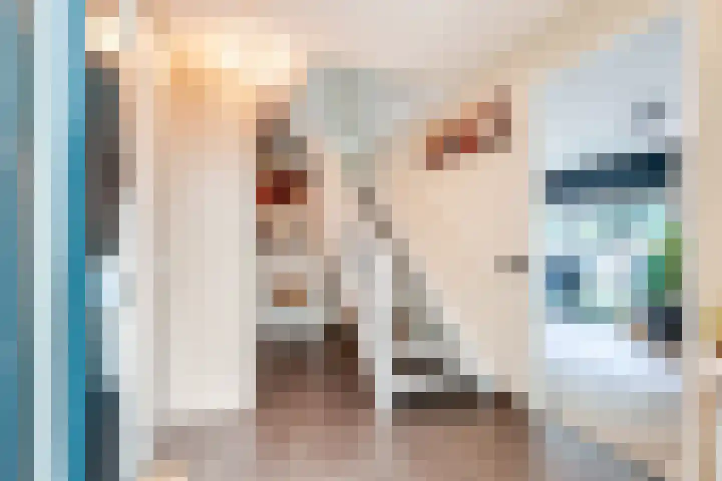 Verlengde Hondsrugstraat 1 E Zuidlaren thumbnail 15