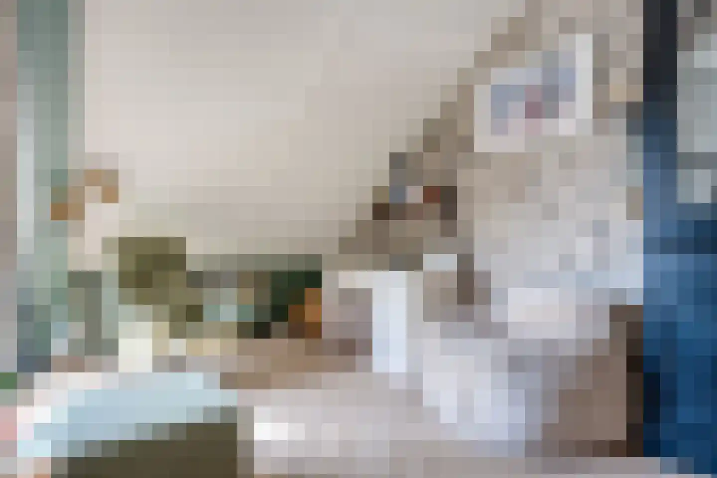 Verlengde Hondsrugstraat 1 E Zuidlaren thumbnail 18