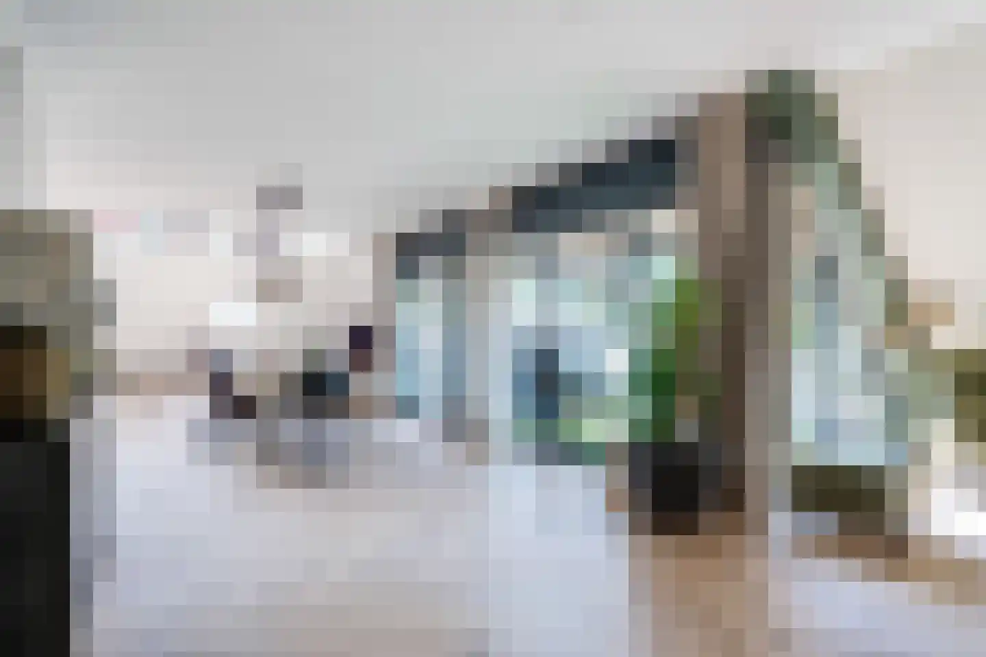 Verlengde Hondsrugstraat 1 E Zuidlaren thumbnail 19
