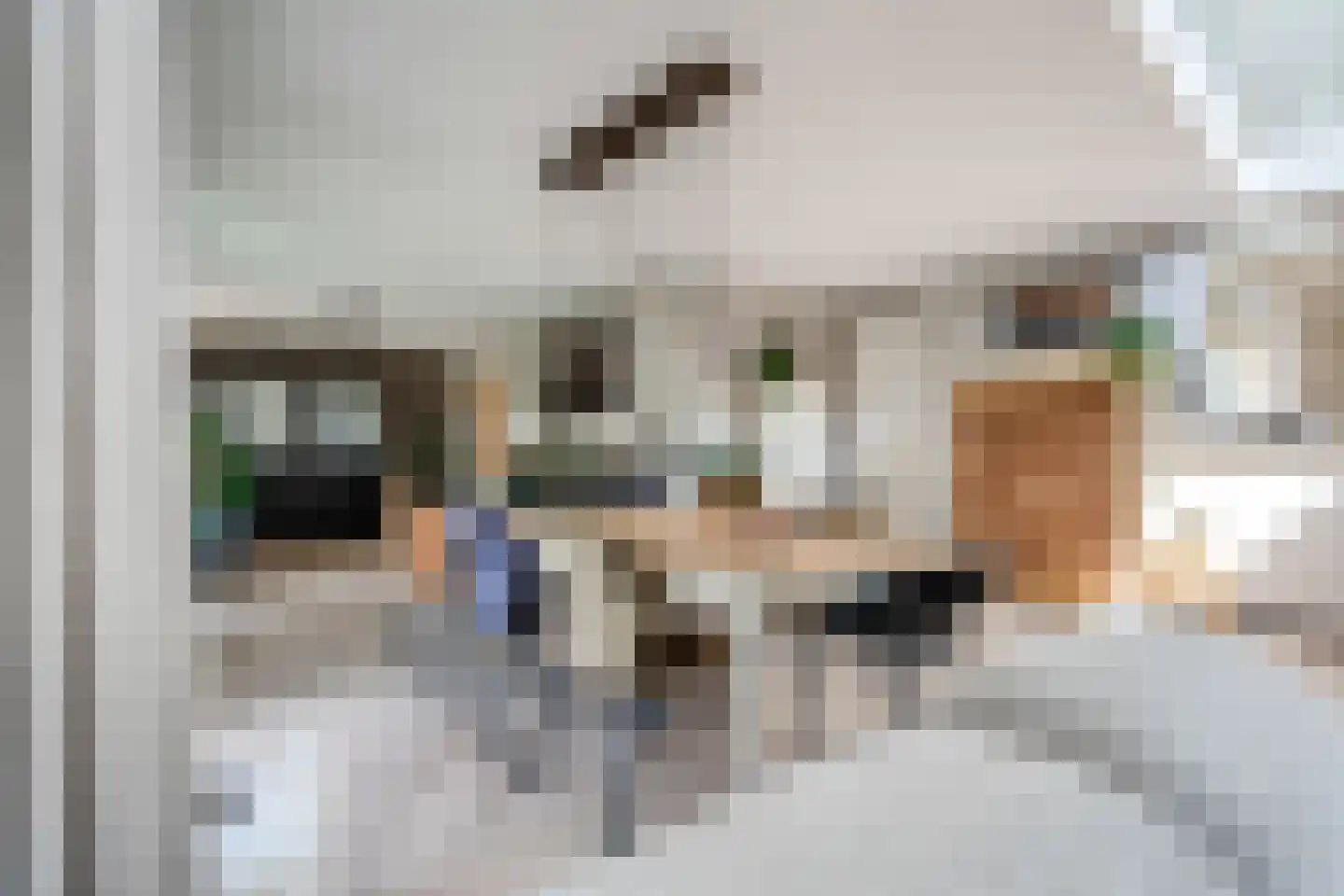 Verlengde Hondsrugstraat 1 E Zuidlaren thumbnail 20