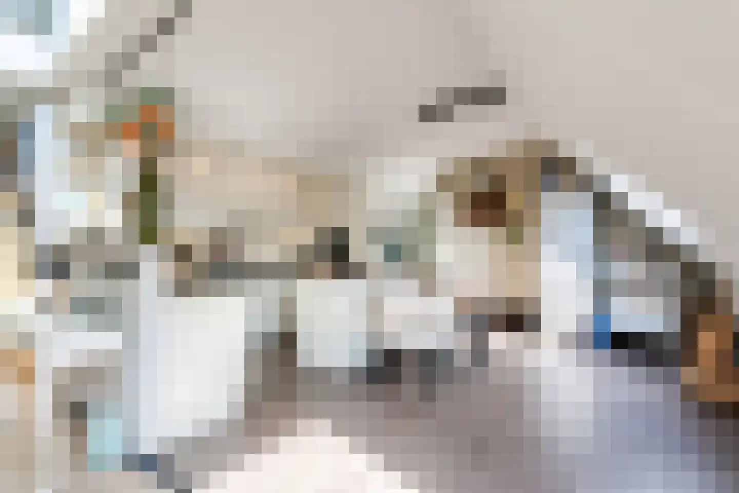 Verlengde Hondsrugstraat 1 E Zuidlaren thumbnail 24