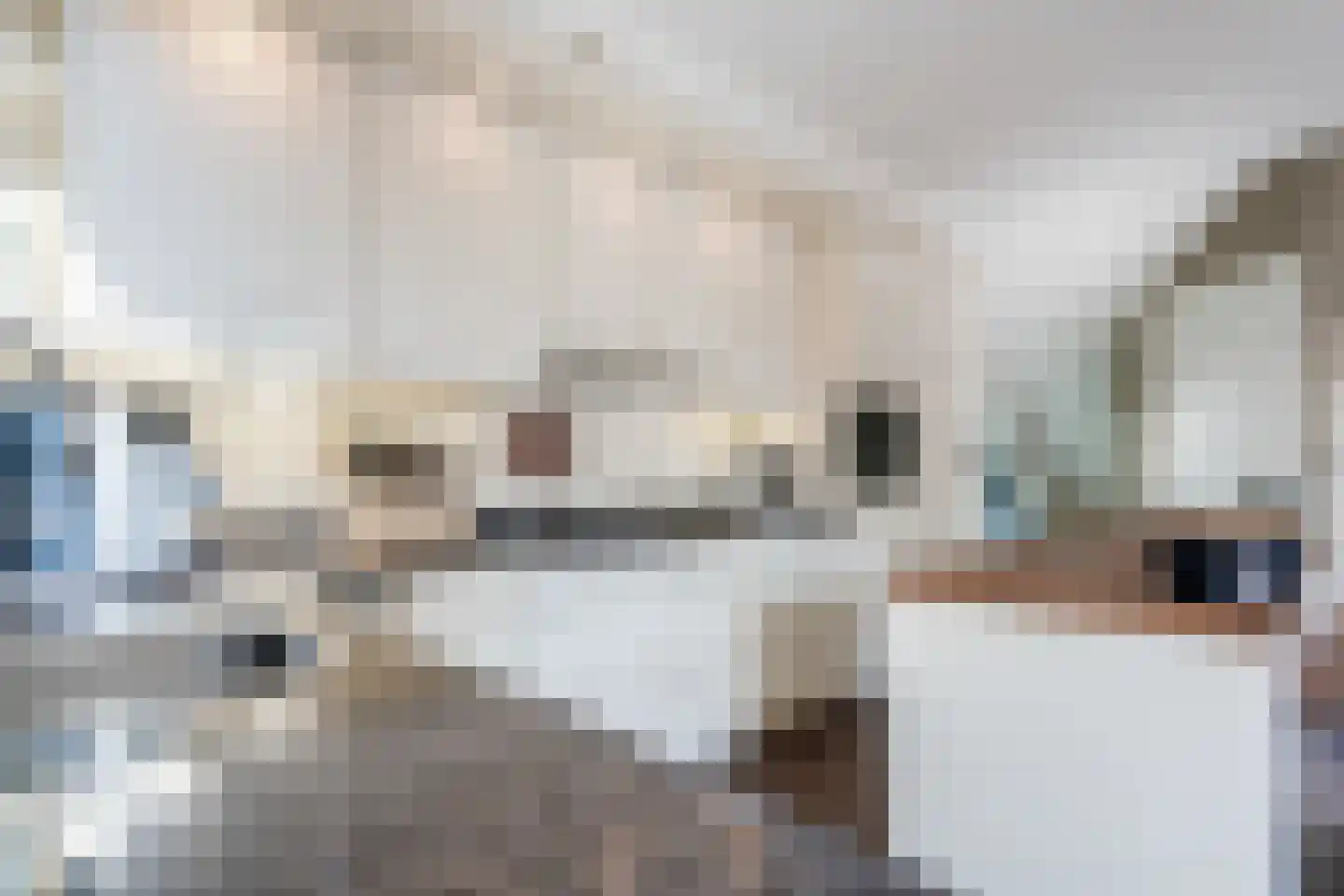 Verlengde Hondsrugstraat 1 E Zuidlaren thumbnail 25