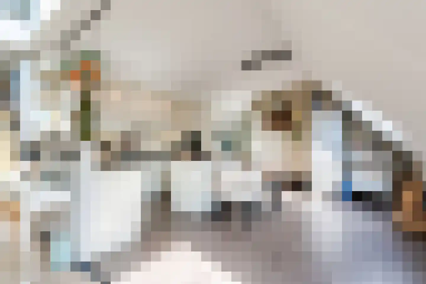 Verlengde Hondsrugstraat 1 E Zuidlaren thumbnail 4