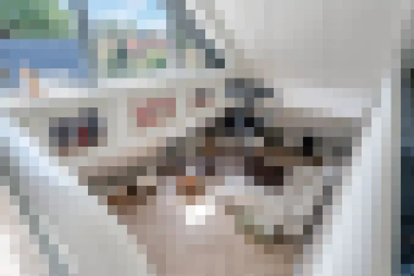 Verlengde Hondsrugstraat 1 E Zuidlaren thumbnail 41
