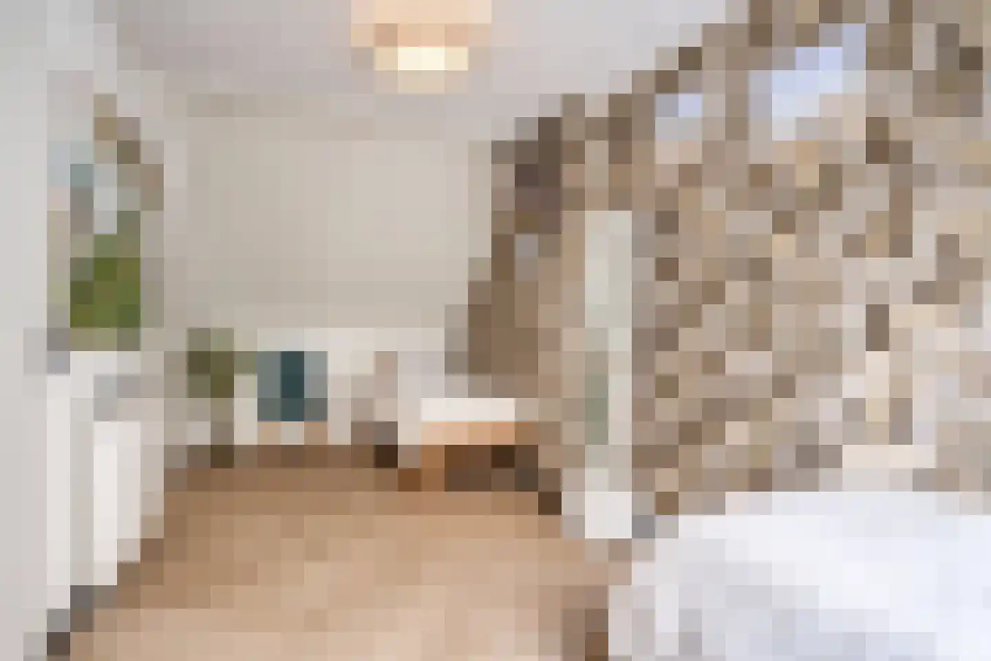 Verlengde Hondsrugstraat 1 E Zuidlaren thumbnail 44