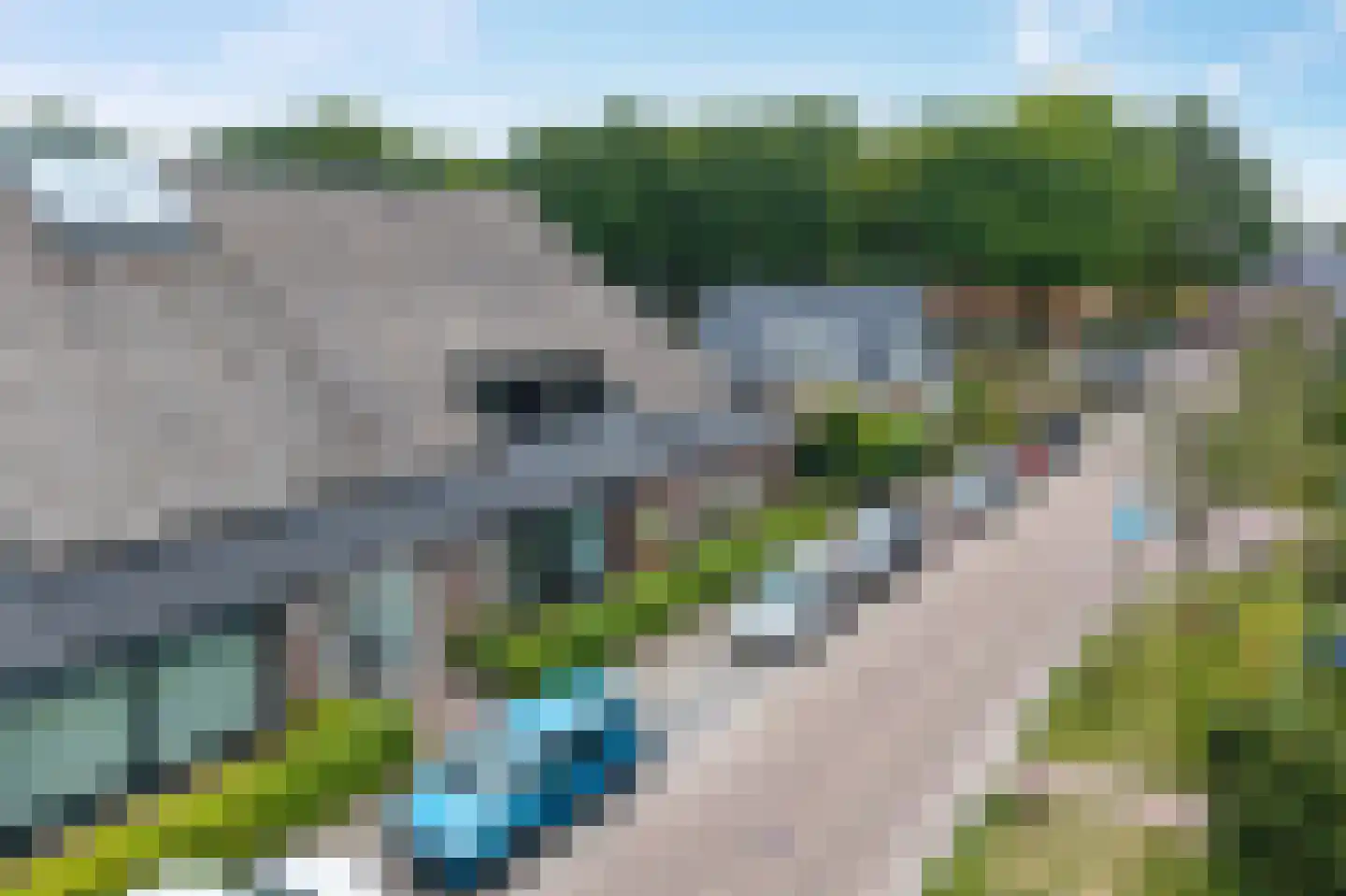 Verlengde Hondsrugstraat 1 E Zuidlaren thumbnail 52