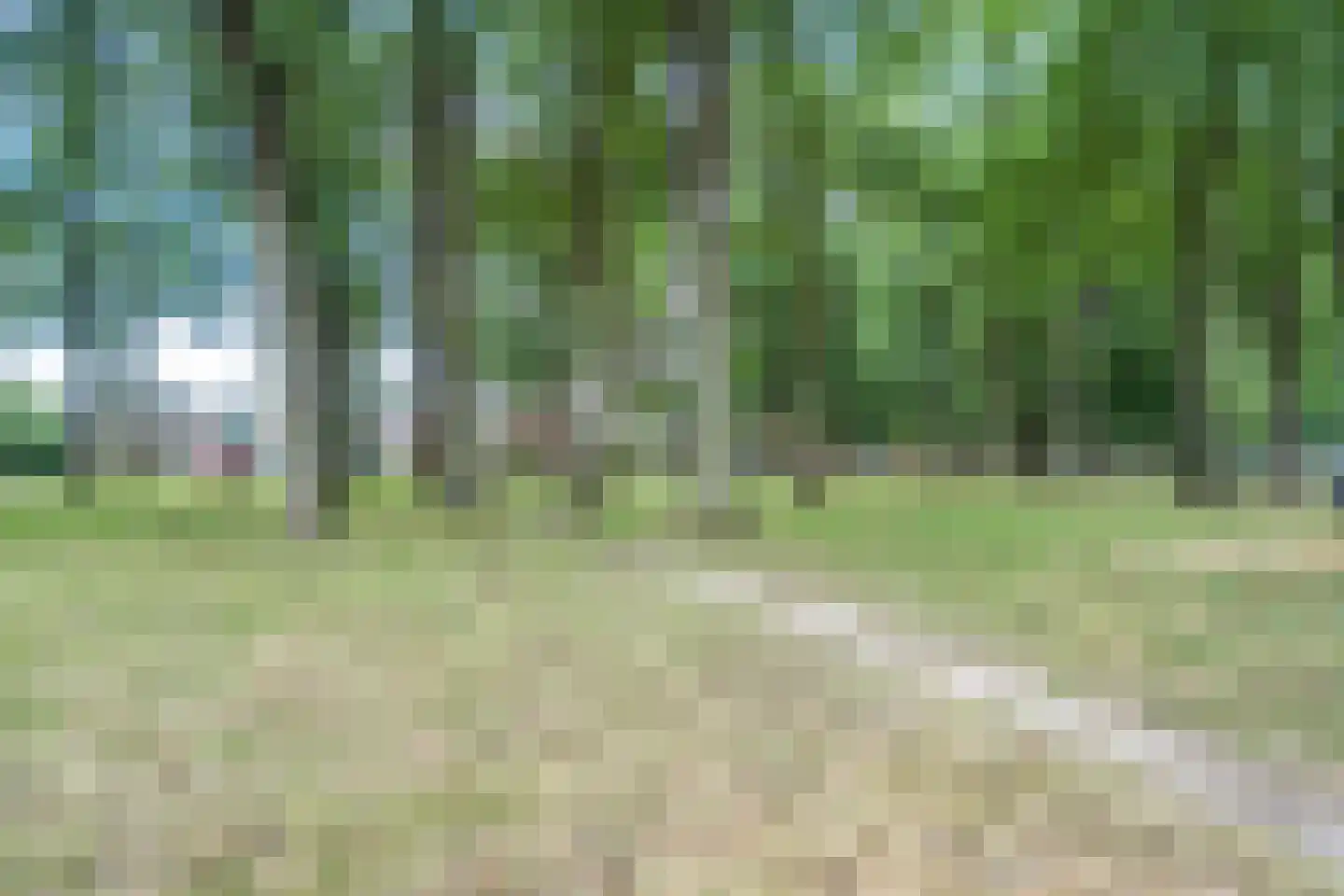 Verlengde Hondsrugstraat 1 E Zuidlaren thumbnail 58