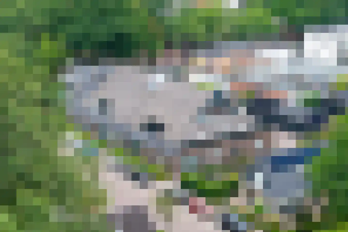 Verlengde Hondsrugstraat 1 E Zuidlaren thumbnail 9