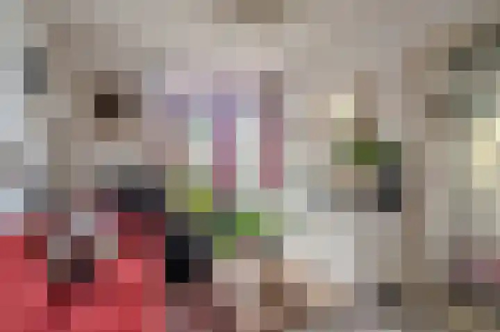 Verlengde Hoofdstraat 10 Bad Nieuweschans thumbnail 34