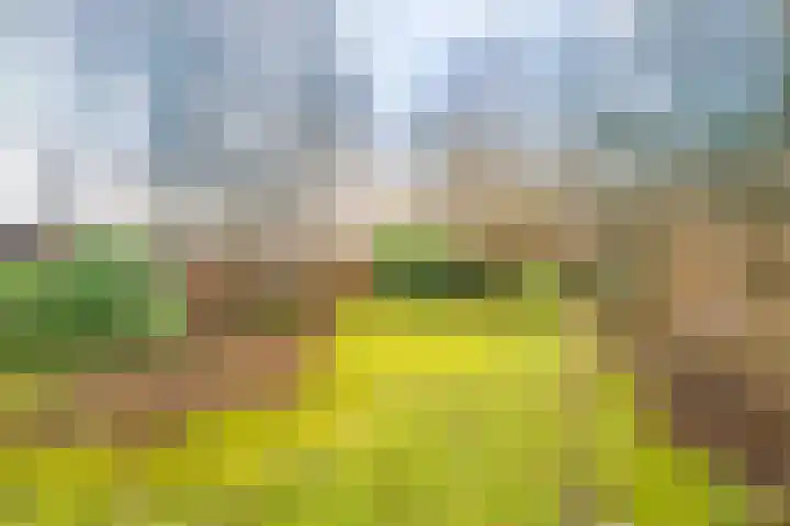 Verlengde Hoofdstraat 10 Bad Nieuweschans thumbnail 39