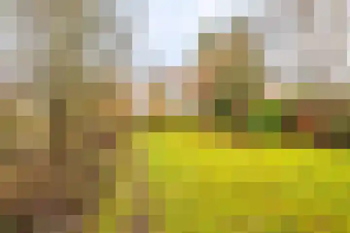 Verlengde Hoofdstraat 10 Bad Nieuweschans thumbnail 41
