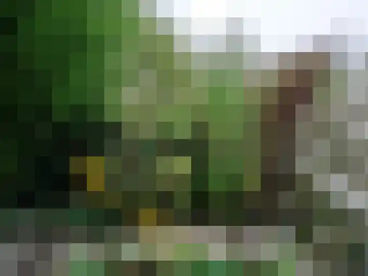 Verlengde Hoofdstraat 10 Bad Nieuweschans thumbnail 43