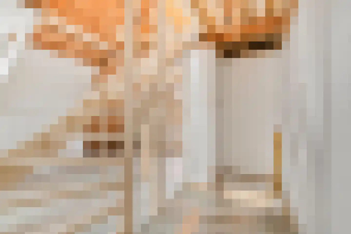 Verlengde Hoofdstraat 2 Bad Nieuweschans thumbnail 21