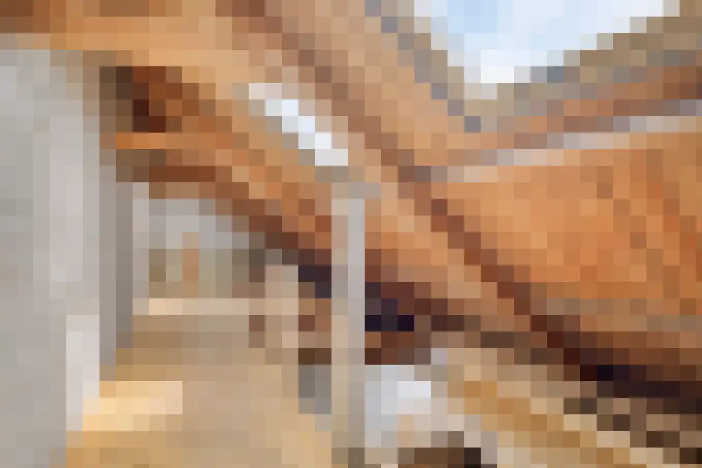 Verlengde Hoofdstraat 2 Bad Nieuweschans thumbnail 22