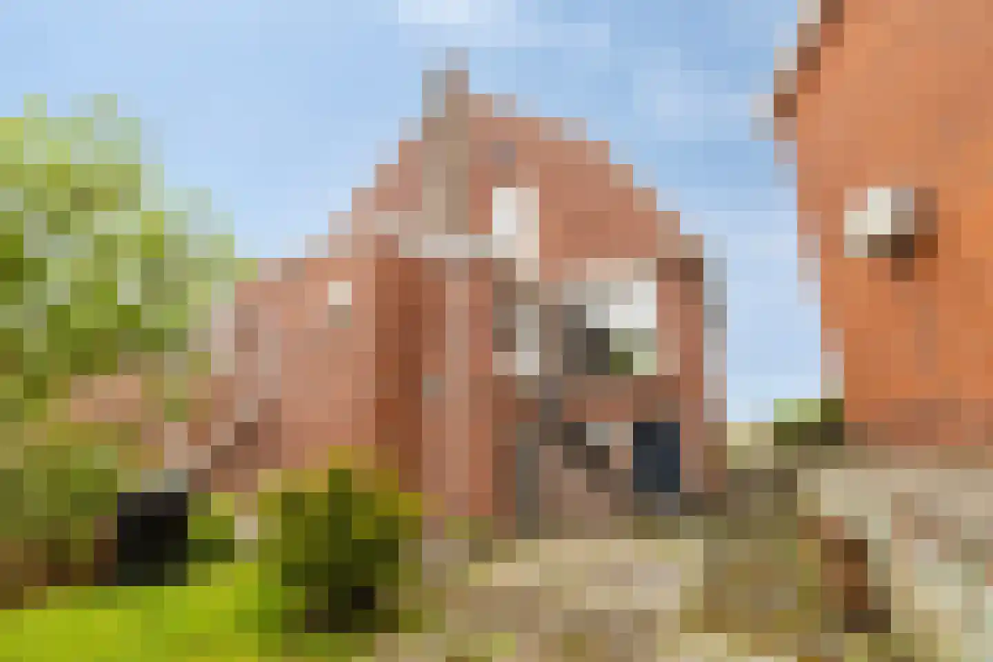 Verlengde Hoofdstraat 2 Bad Nieuweschans thumbnail 24