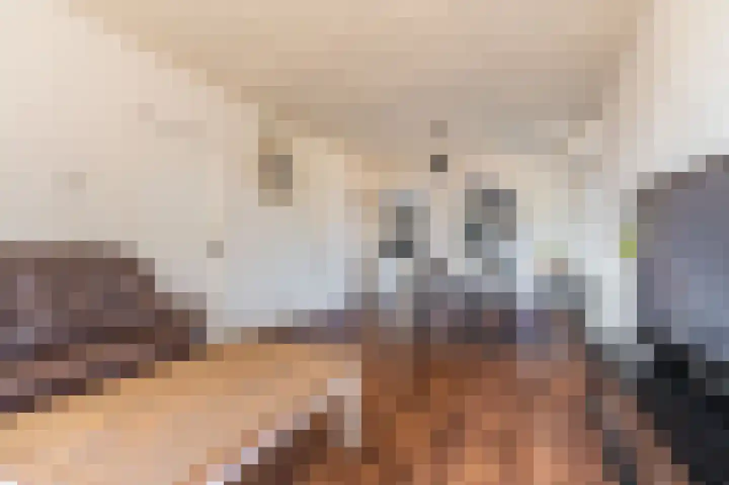 Verlengde Hoofdstraat 4 Bad Nieuweschans thumbnail 11