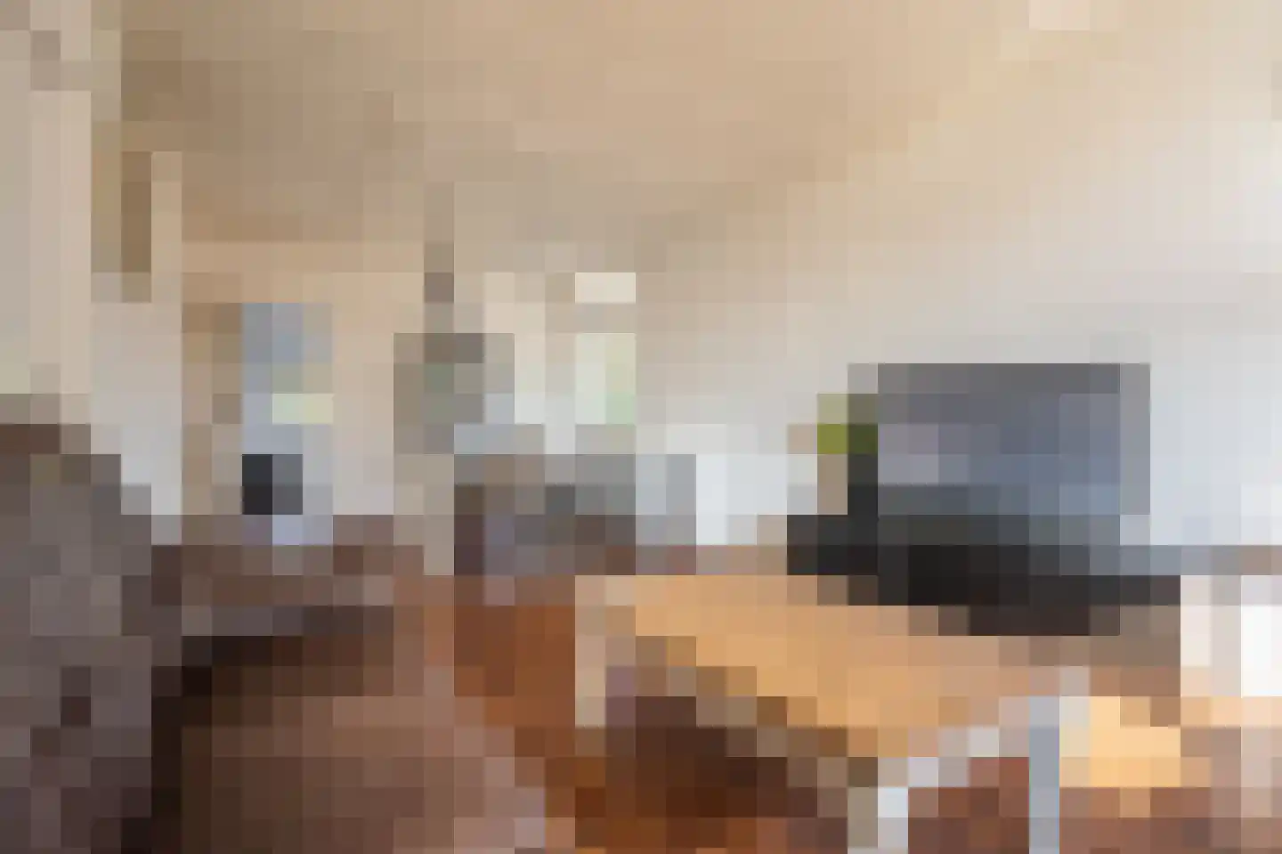 Verlengde Hoofdstraat 4 Bad Nieuweschans thumbnail 12