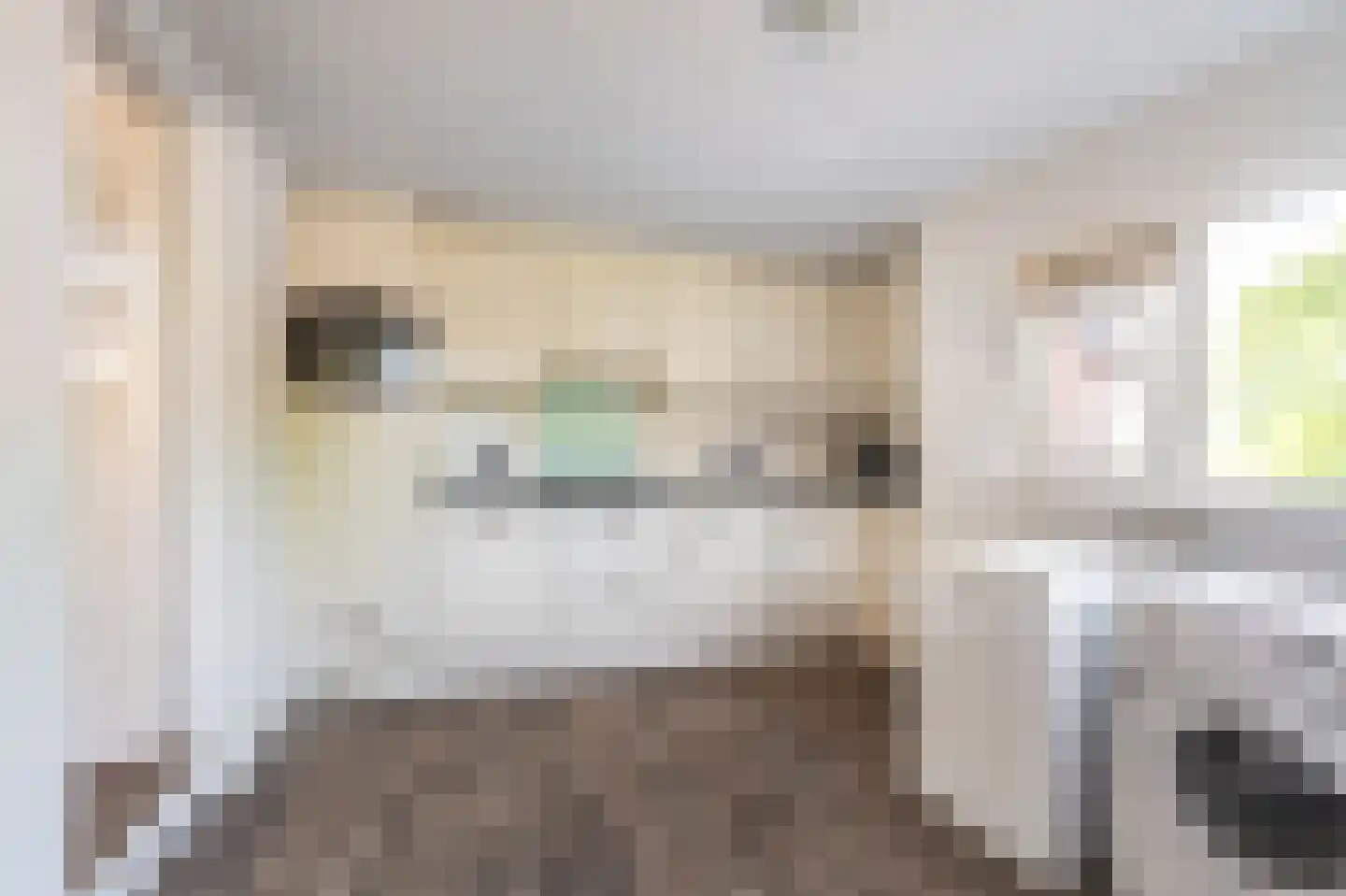 Verlengde Hoofdstraat 4 Bad Nieuweschans thumbnail 17