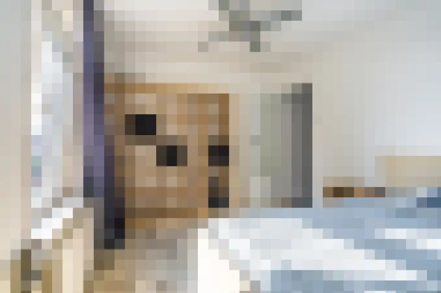 Verlengde Hoofdstraat 4 Bad Nieuweschans thumbnail 26