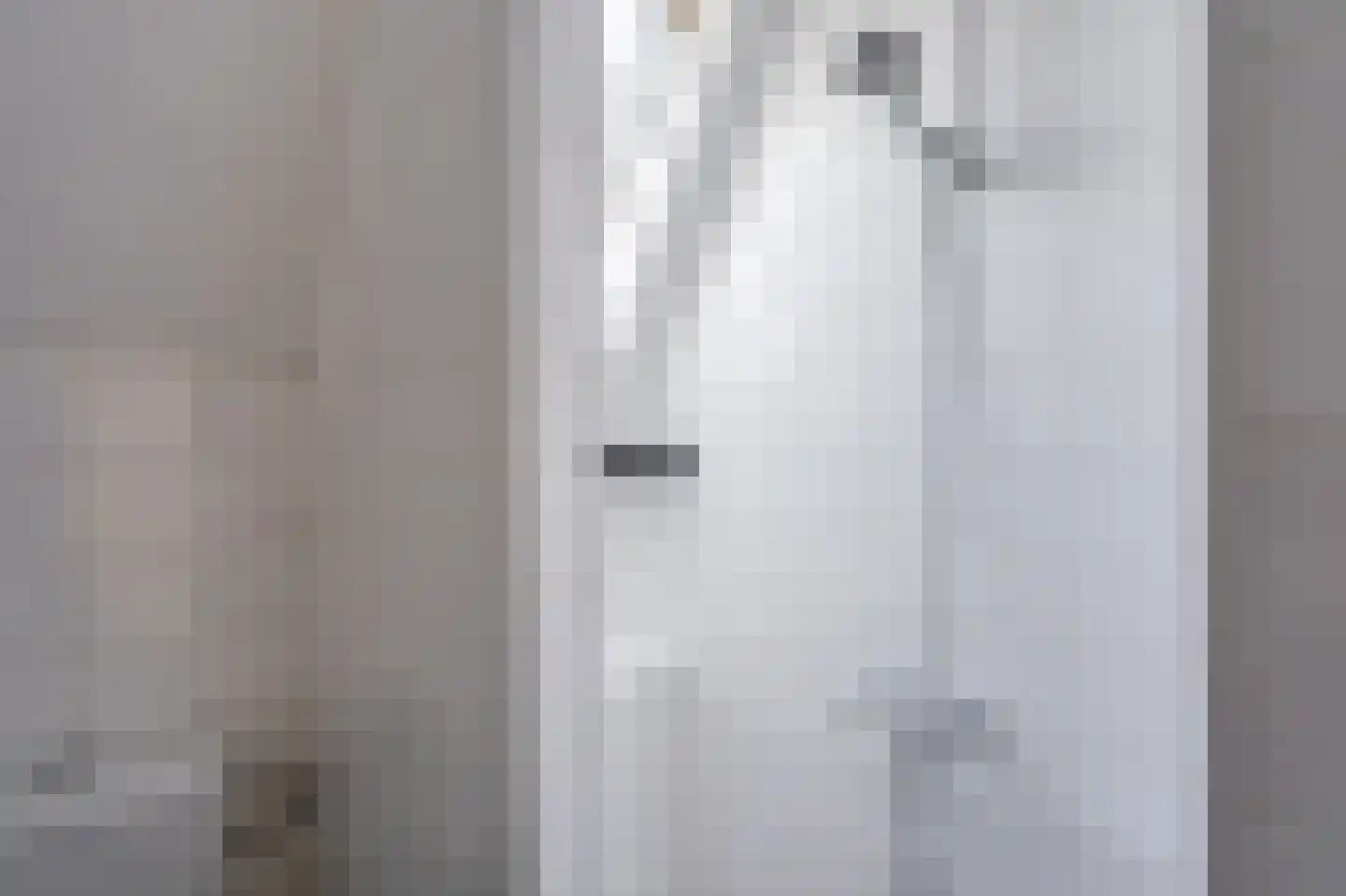 Verlengde Hoofdstraat 4 Bad Nieuweschans thumbnail 29