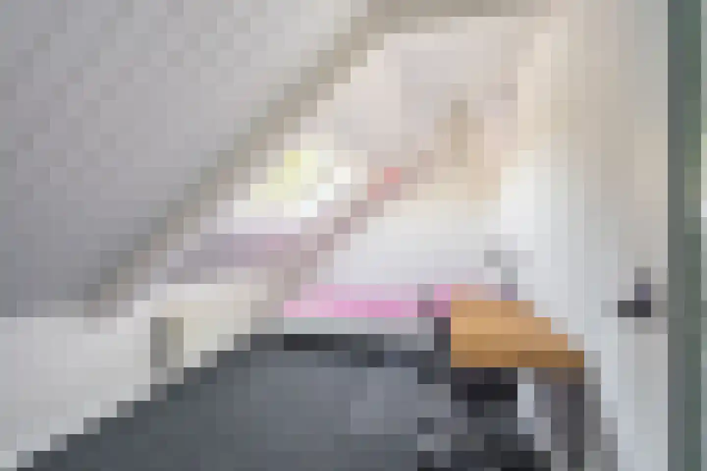 Verlengde Hoofdstraat 4 Bad Nieuweschans thumbnail 33