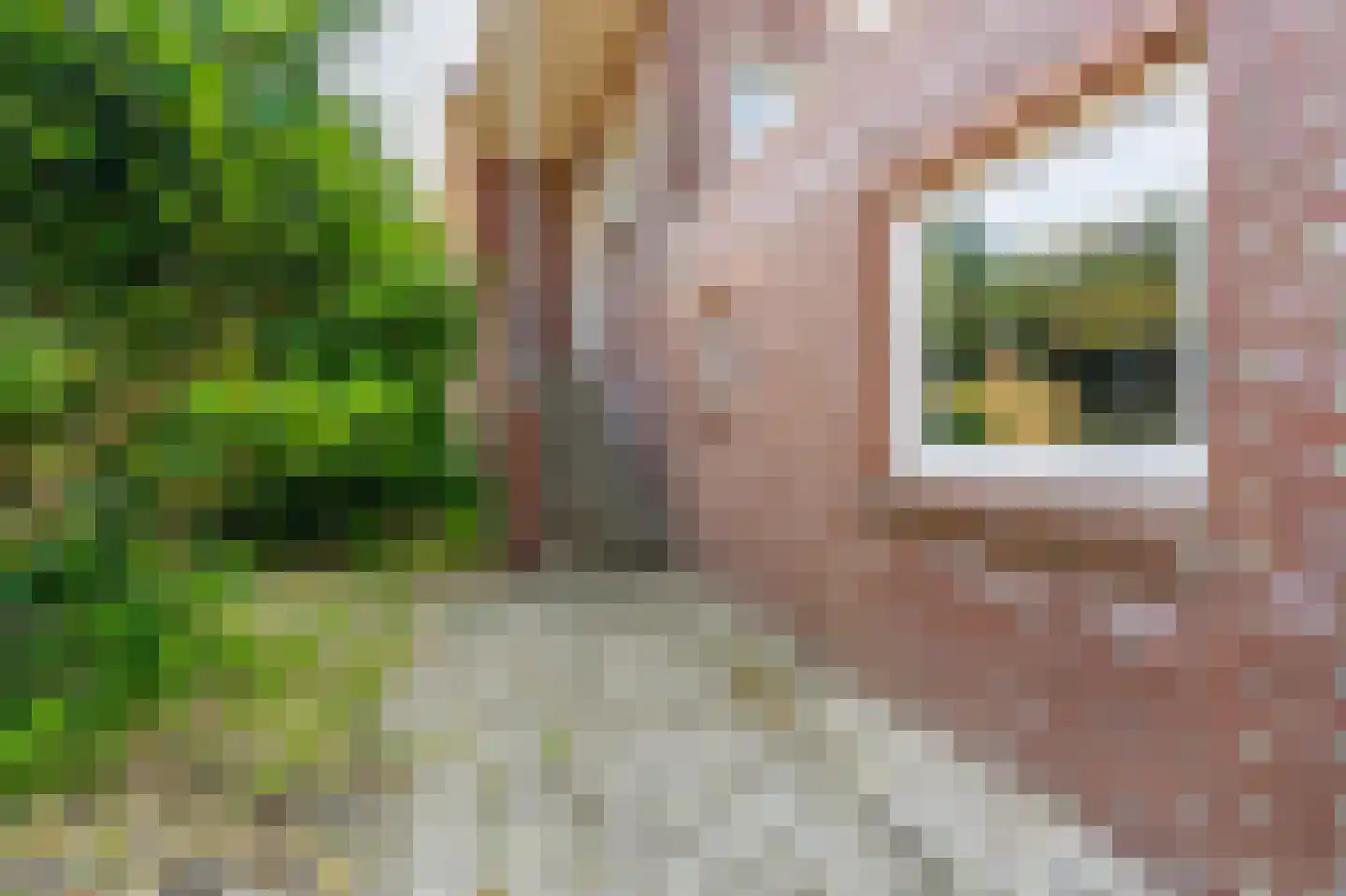 Verlengde Hoofdstraat 4 Bad Nieuweschans thumbnail 36
