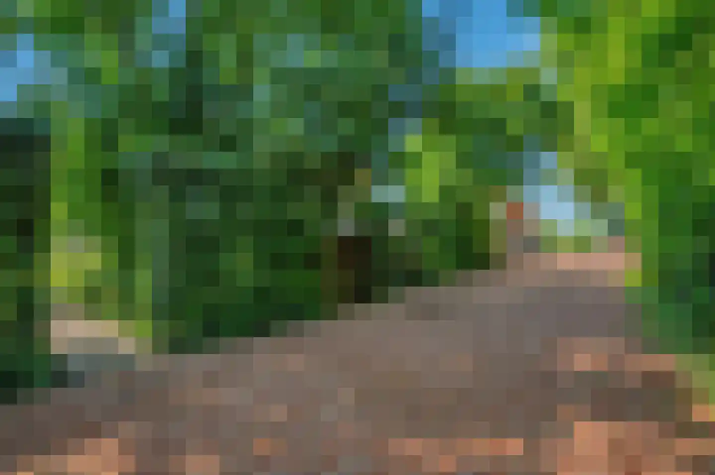 Verlengde Hoofdweg 1 Nieuw Beerta thumbnail 10