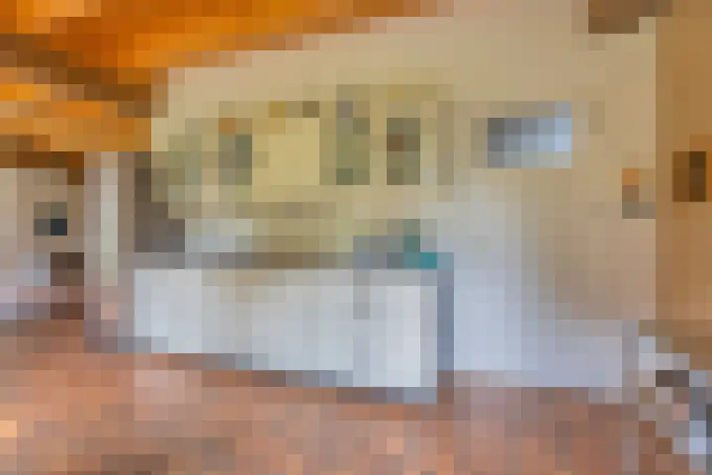 Verlengde Hoofdweg 1 Nieuw Beerta thumbnail 18