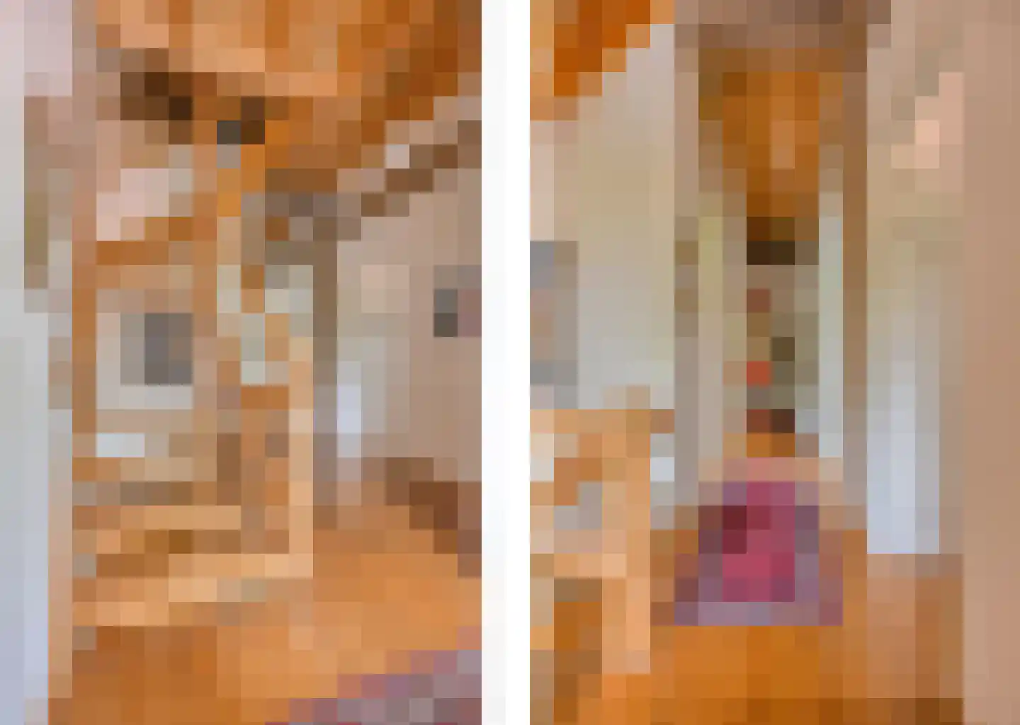 Verlengde Hoofdweg 1 Nieuw Beerta thumbnail 36