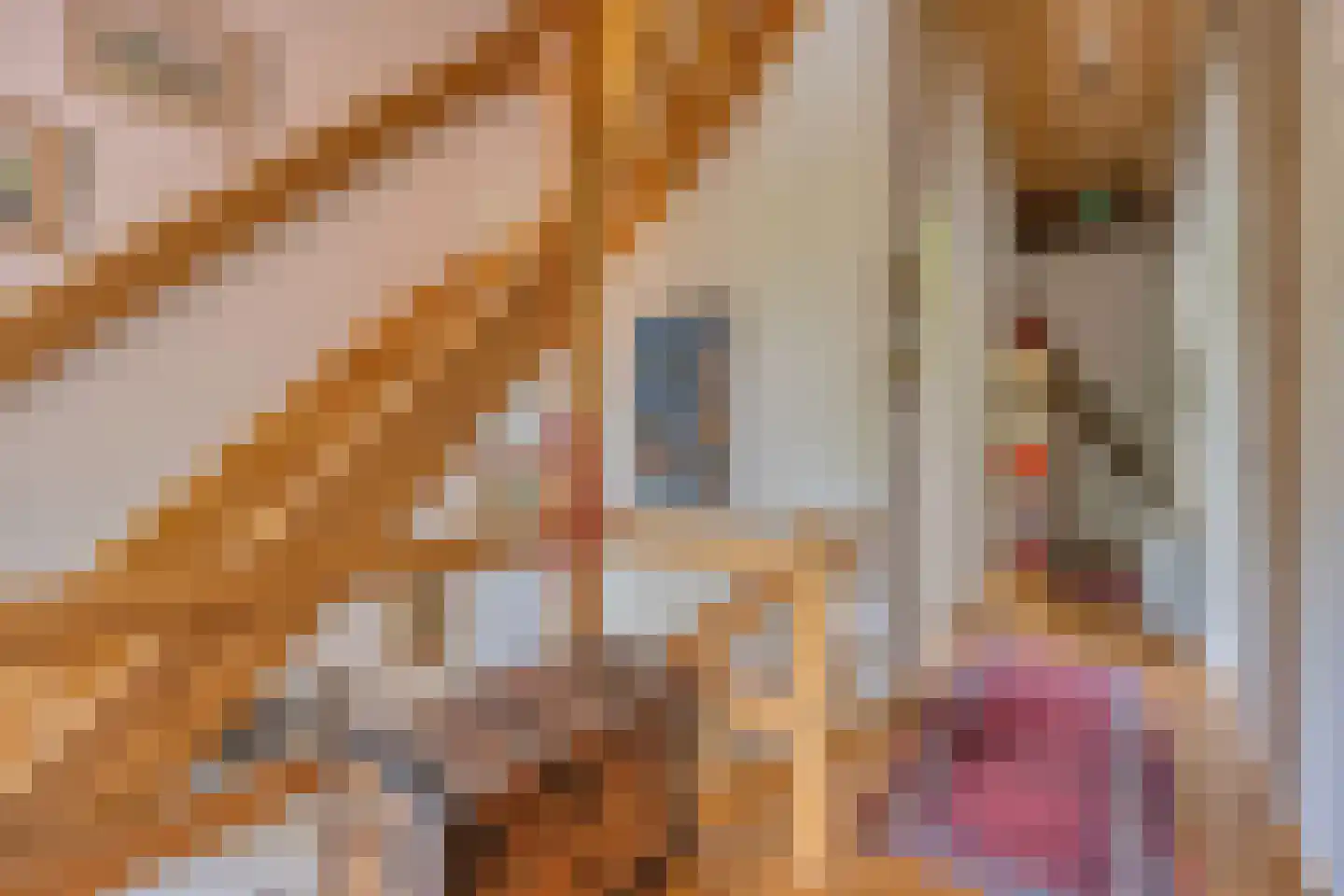 Verlengde Hoofdweg 1 Nieuw Beerta thumbnail 37