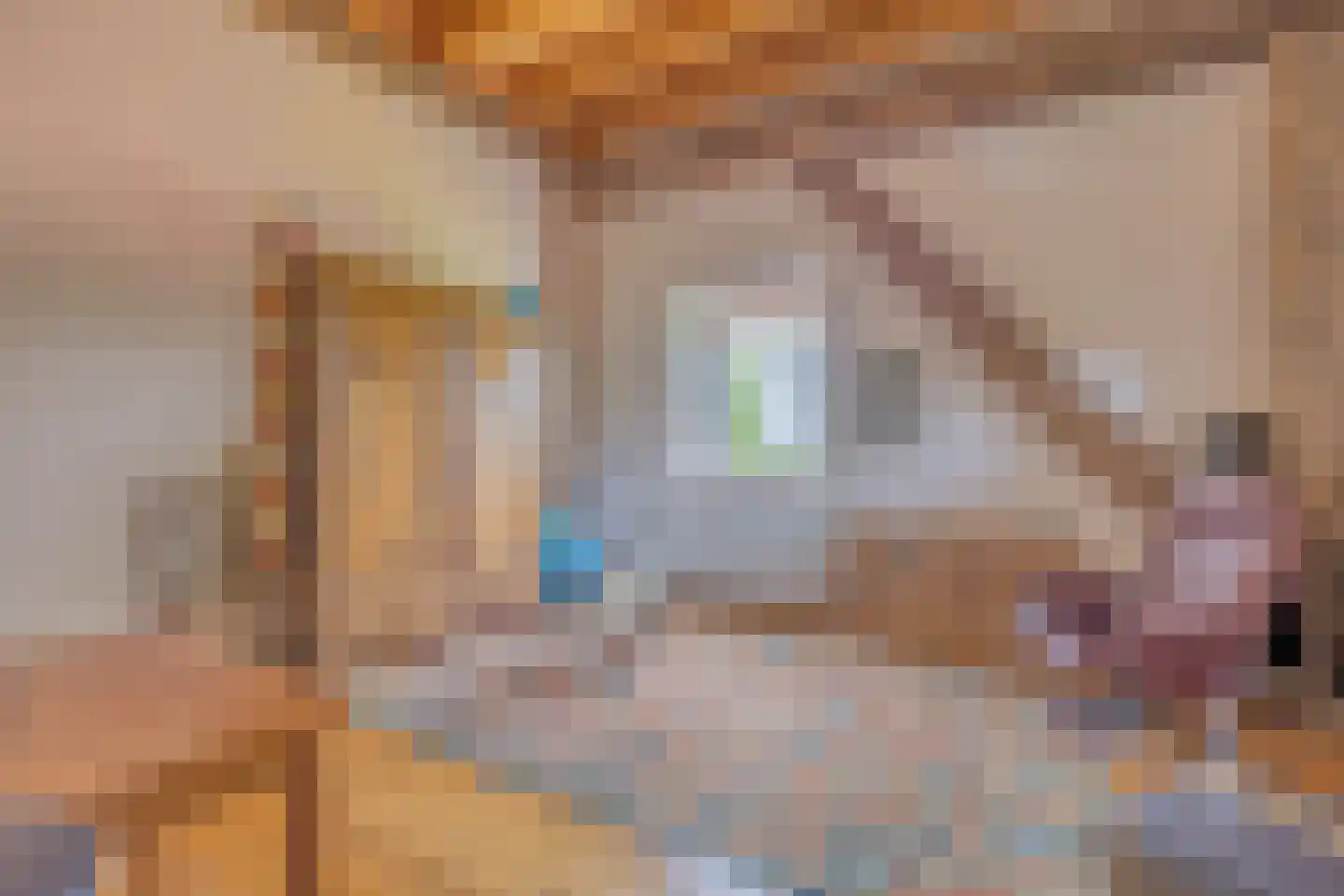 Verlengde Hoofdweg 1 Nieuw Beerta thumbnail 39