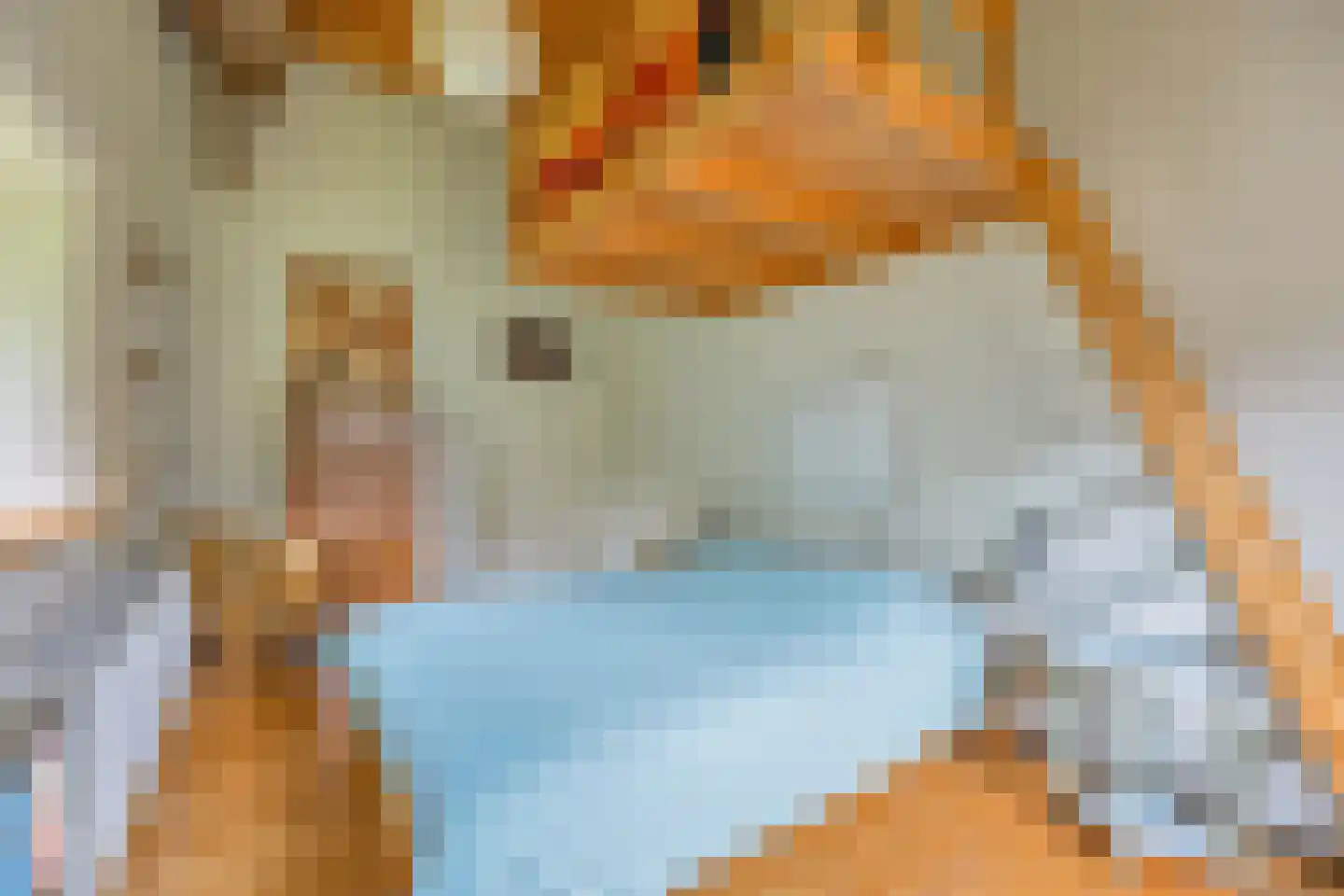 Verlengde Hoofdweg 1 Nieuw Beerta thumbnail 46