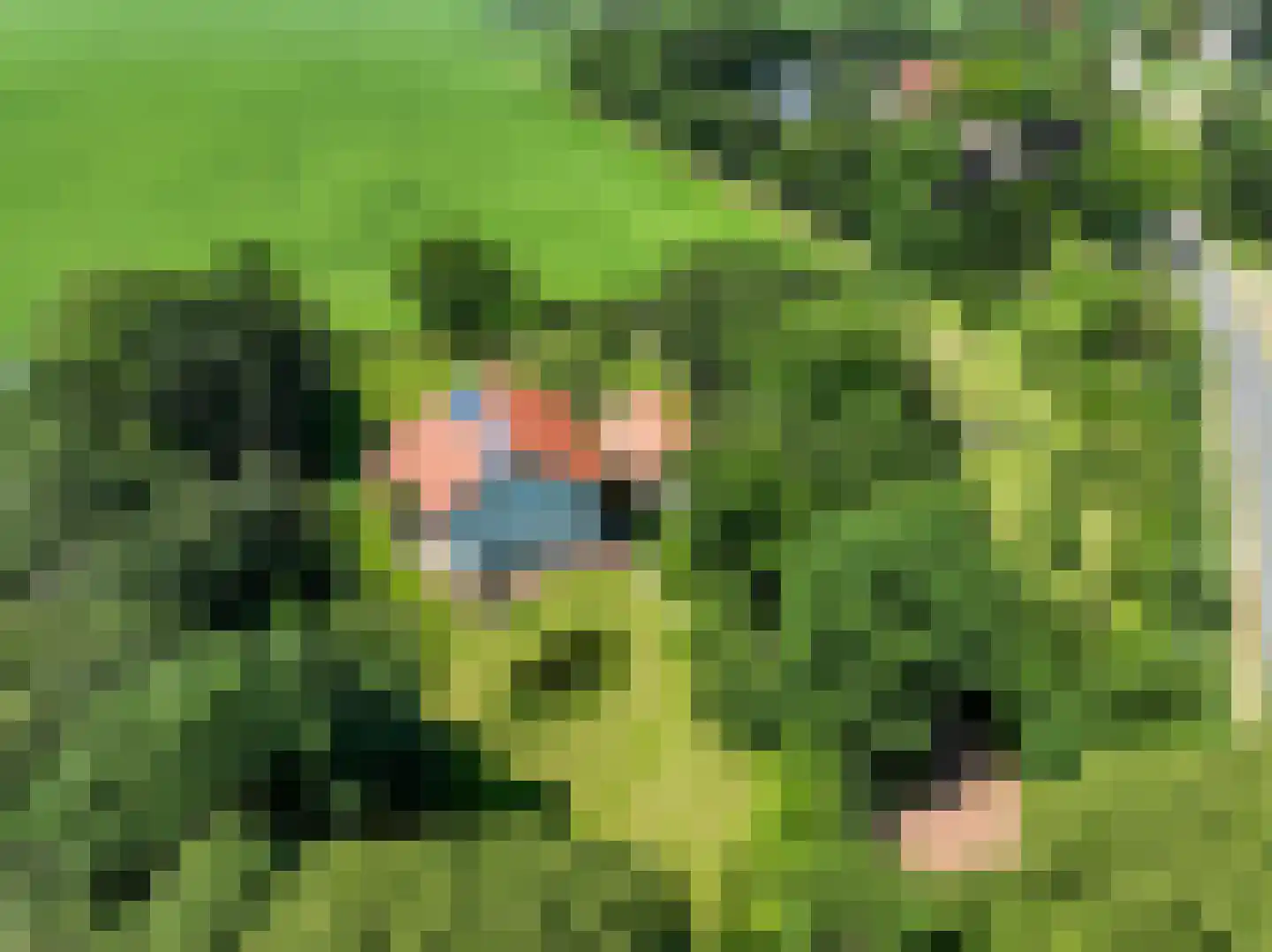 Verlengde Hoofdweg 1 Nieuw Beerta thumbnail 5