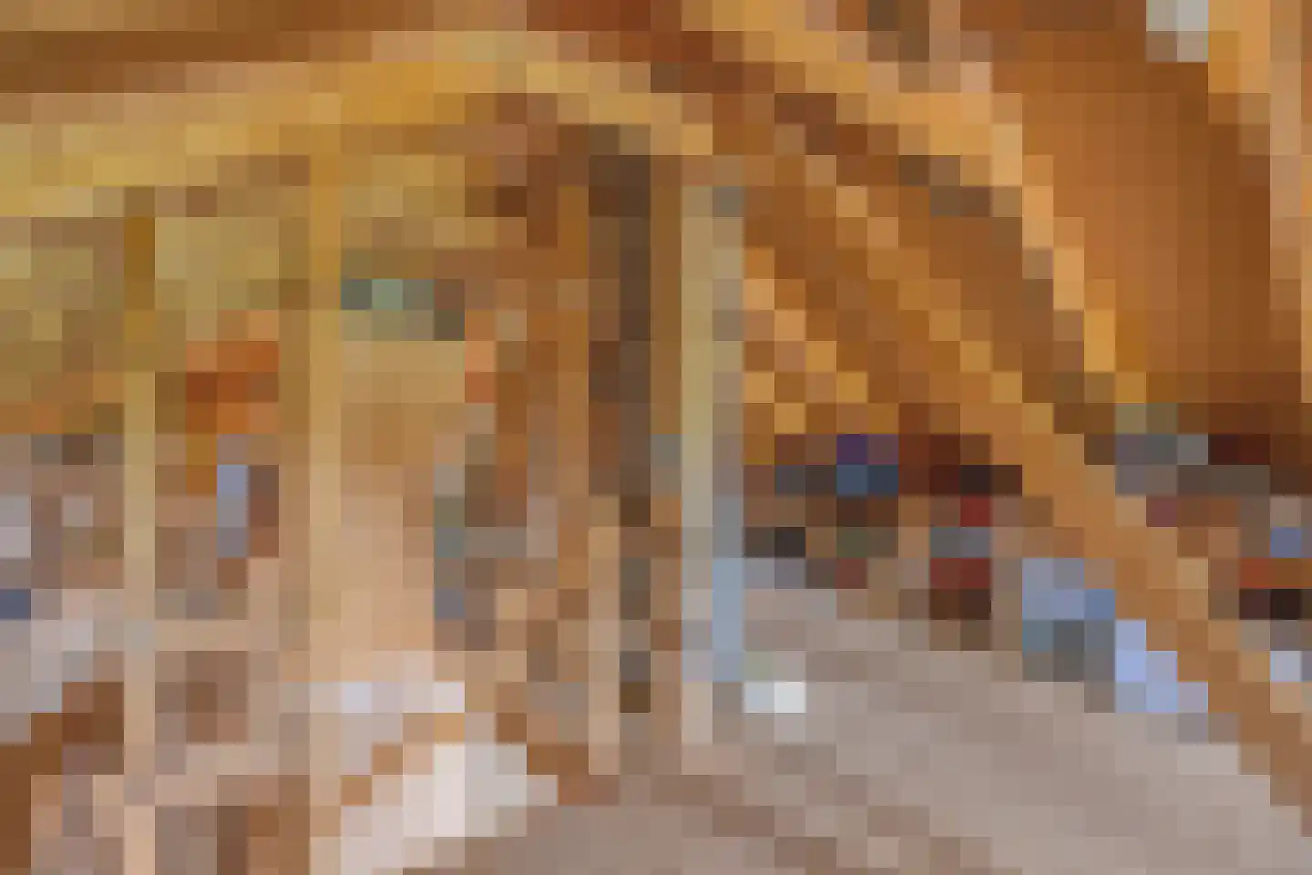 Verlengde Hoofdweg 1 Nieuw Beerta thumbnail 55