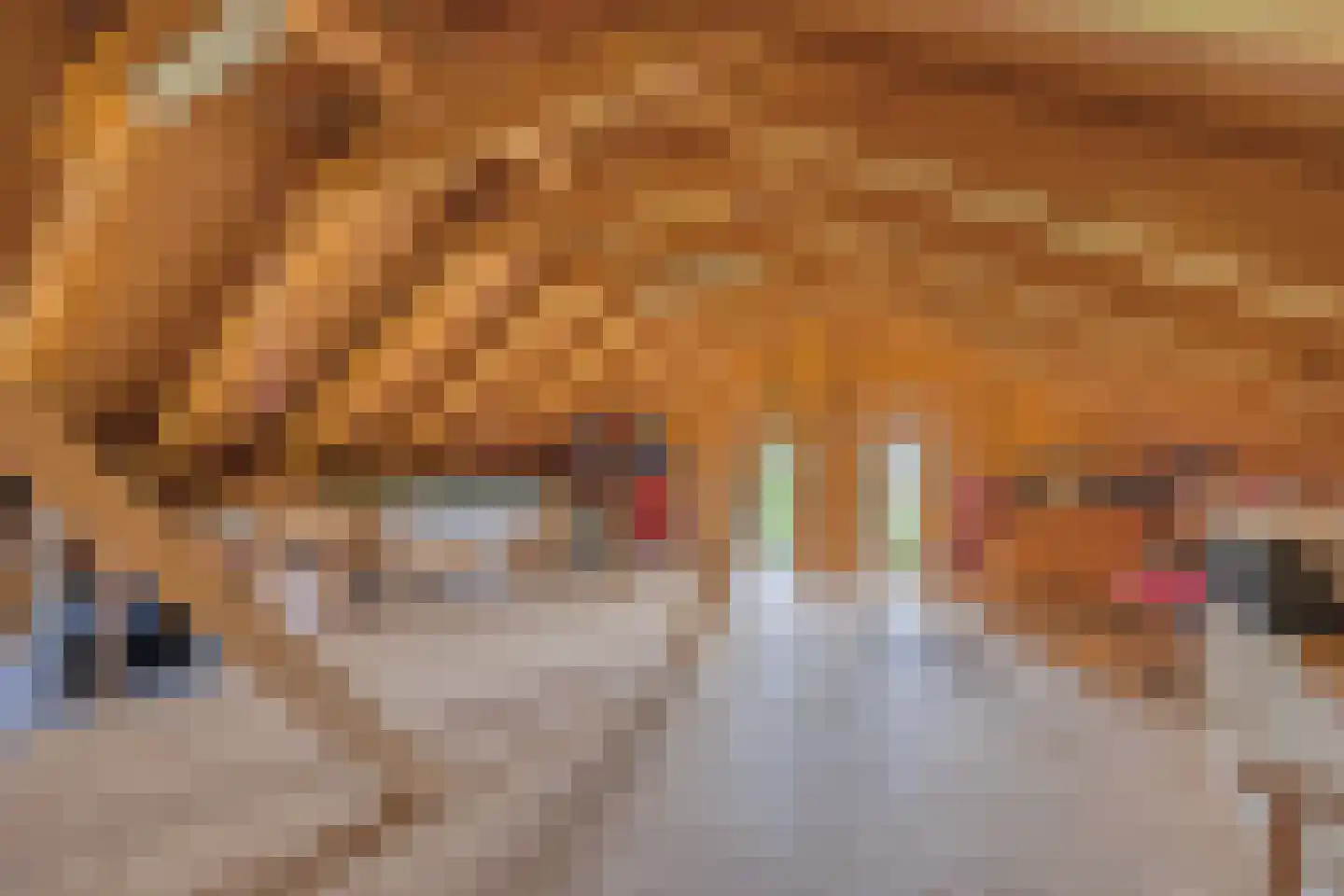 Verlengde Hoofdweg 1 Nieuw Beerta thumbnail 57