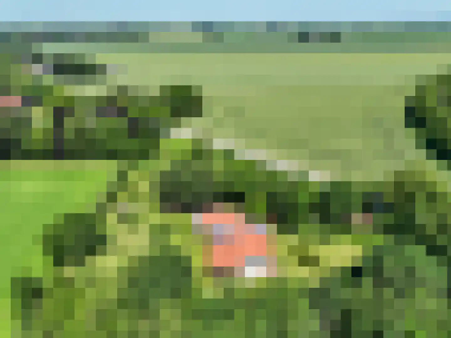 Verlengde Hoofdweg 1 Nieuw Beerta thumbnail 6