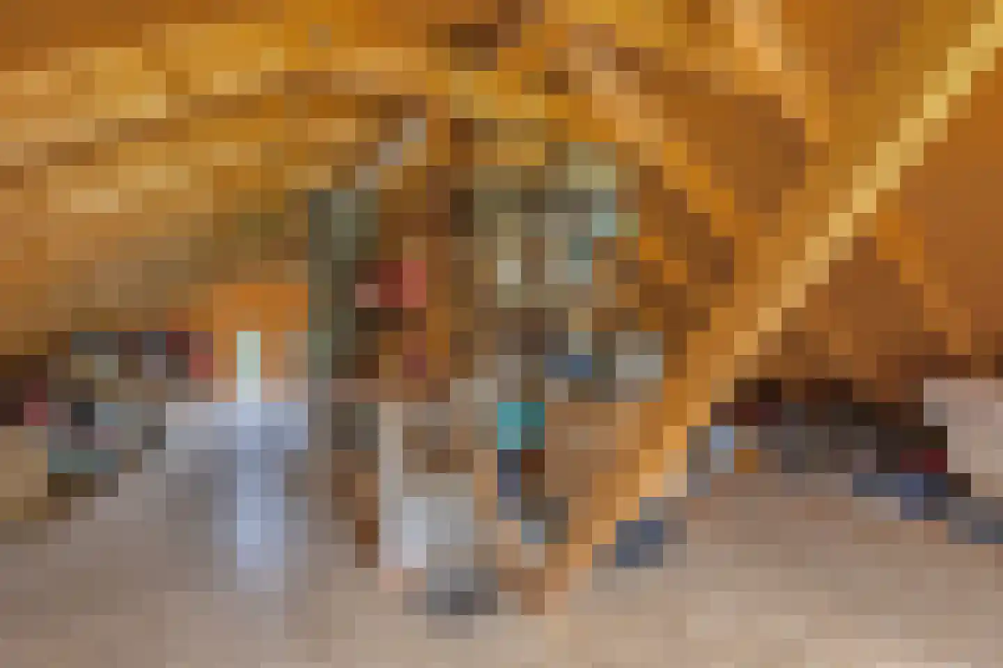 Verlengde Hoofdweg 1 Nieuw Beerta thumbnail 60