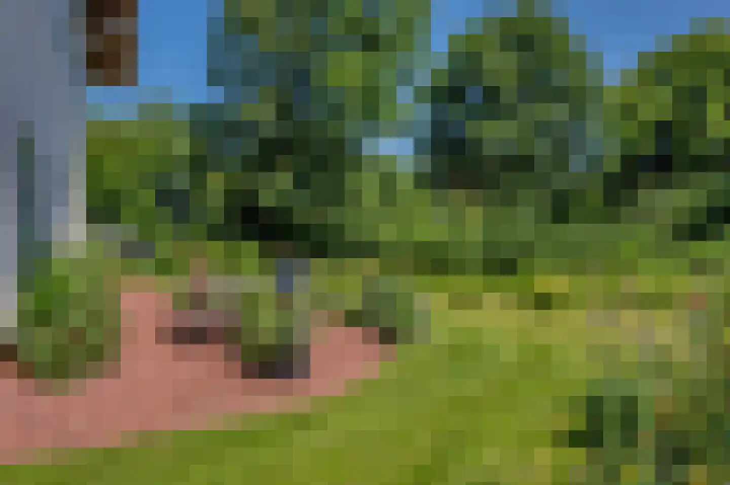 Verlengde Hoofdweg 1 Nieuw Beerta thumbnail 61