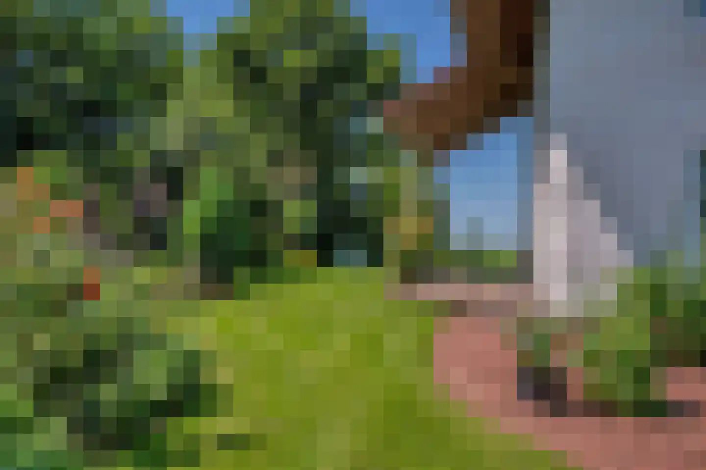 Verlengde Hoofdweg 1 Nieuw Beerta thumbnail 63