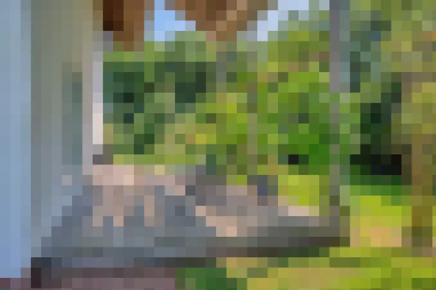 Verlengde Hoofdweg 1 Nieuw Beerta thumbnail 66