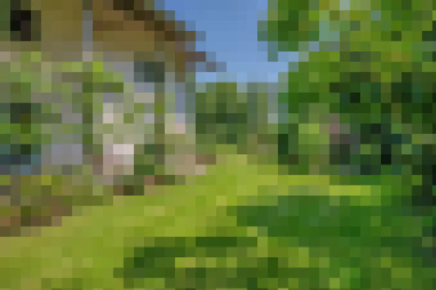 Verlengde Hoofdweg 1 Nieuw Beerta thumbnail 67
