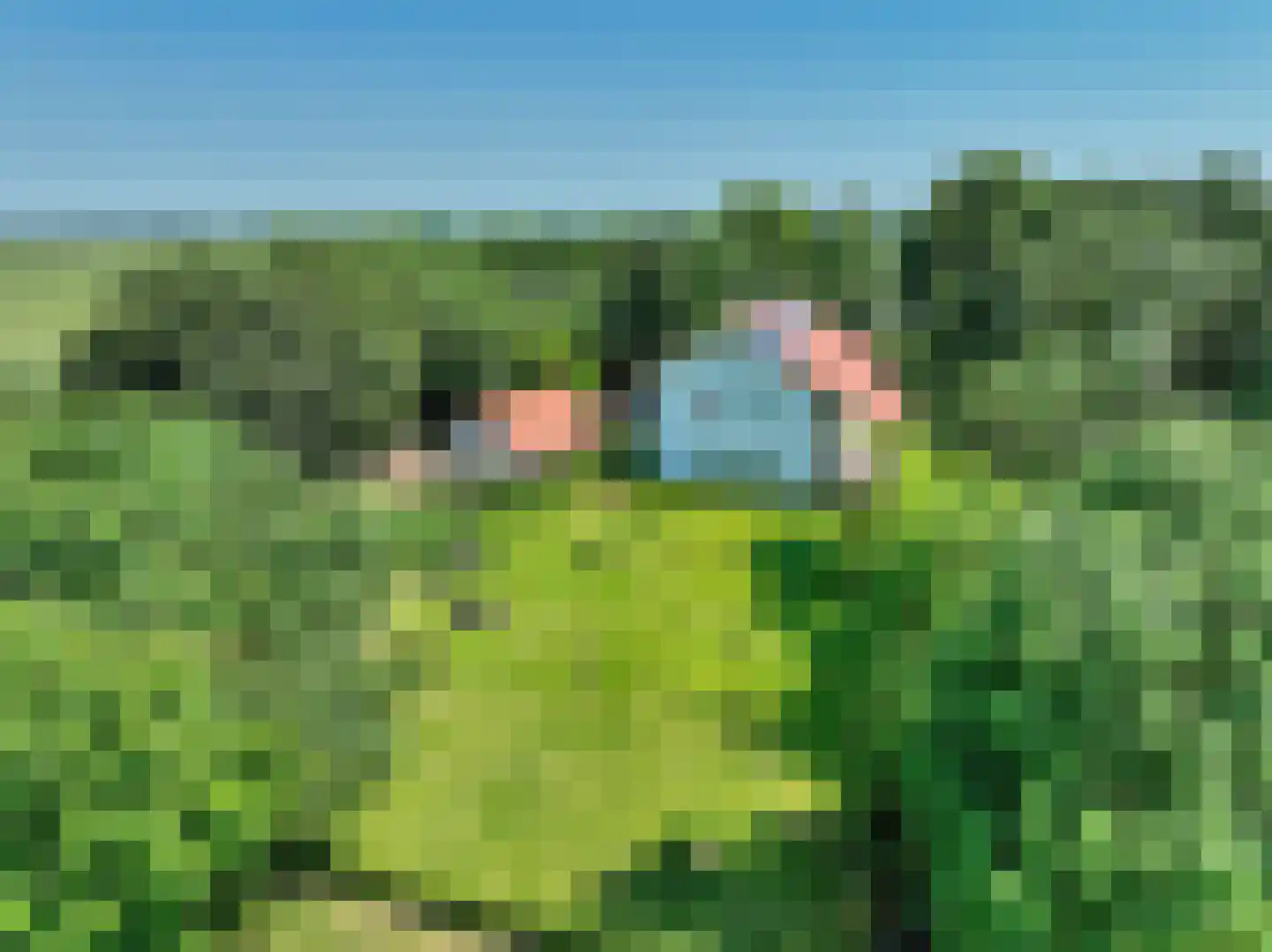 Verlengde Hoofdweg 1 Nieuw Beerta thumbnail 7