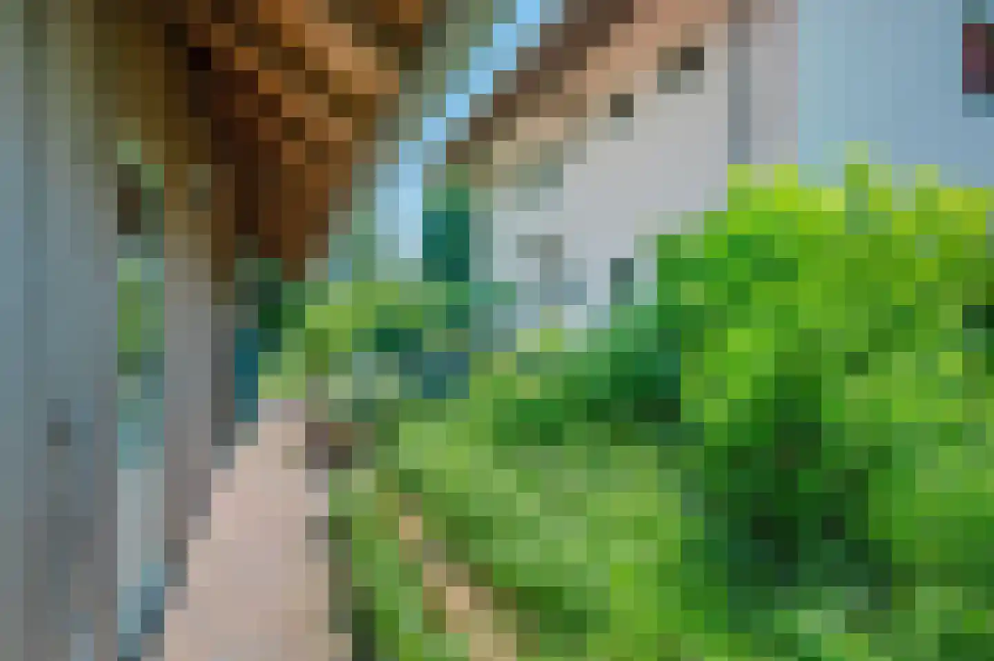 Verlengde Hoofdweg 1 Nieuw Beerta thumbnail 72